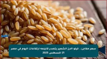 سعر مفاجئ.. كيلو الأرز الشعير يتصدر قائمة ارتفاعات اليوم في مصر 21 أغسطس 2025